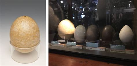 A Brief History of Ostrich Eggs in Mythology and Folklore