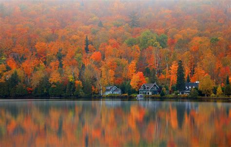 A Captivating Sight: Breathtaking Photography Showcasing the Beauty of Fall's Enchanting Foliage