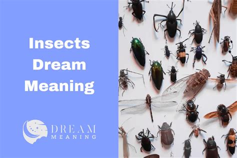 A Closer Examination of Insect-Related Dreams: Decoding the Significance