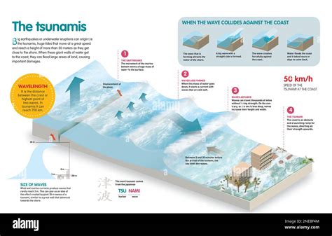 A Closer Look at Tsunami Formation and Characteristics