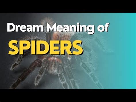 A Comprehensive Guide to Decoding the Symbolic Meaning of Arachnid Reveries