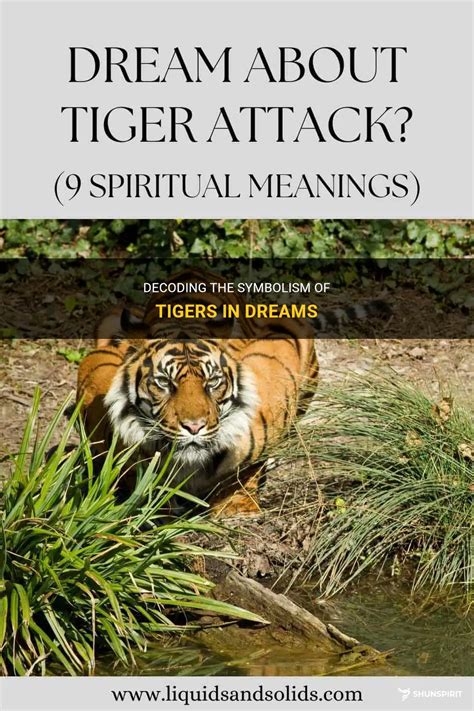 A Deeper Examination of Tigers' Symbolic Significance in Dreams