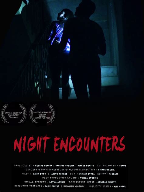 A Deeper Exploration of Nocturnal Encounters