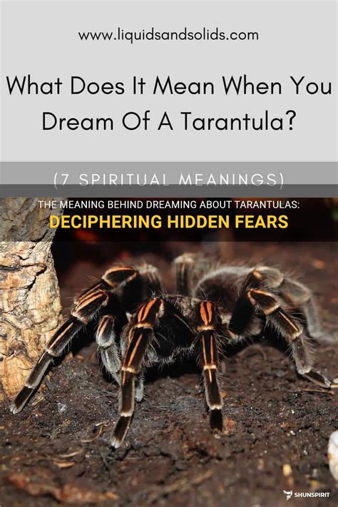 A Deeper Look into the Fear and Anxiety behind Tarantula Dreams