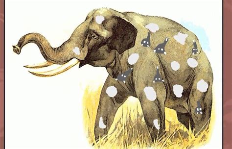 A Fascinating Encounter: Imagining a Petite Pachyderm