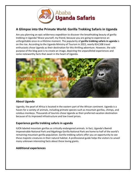 A Glimpse into Communicating with a Majestic Primate: Exploring the Fascinating World of Gorilla Interaction