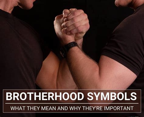 A Glimpse into Our Relationships: Male Twins as Symbols of Brotherhood and Connection