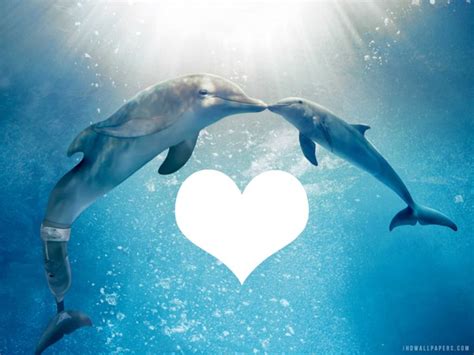 A Glimpse of Hope: The Dolphin's Resilient Spirit