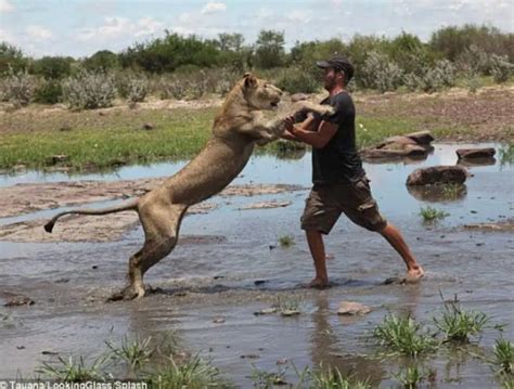 A Heartwarming Bond Forms in the Face of Danger