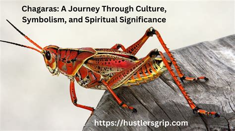 A Journey Through Cultural Symbolism