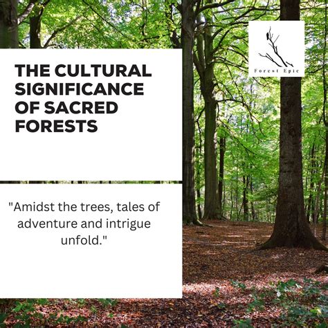 A Journey Through Time: Tracing the History and Cultural Significance of Forests