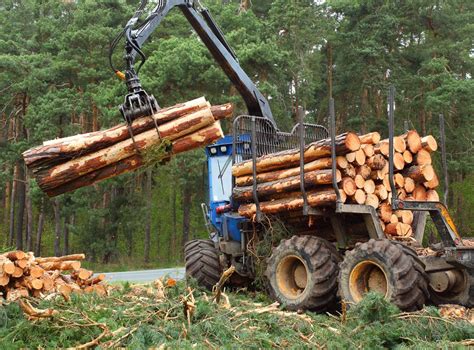 A Journey from Yesterday to Today: The History of Aquatic Timber Harvesting