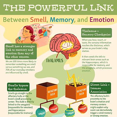 A Journey of the Senses: Exploring the Connection Between Fragrance and Memory