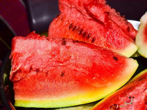 A Journey through the Origins of the Ivory Watermelon