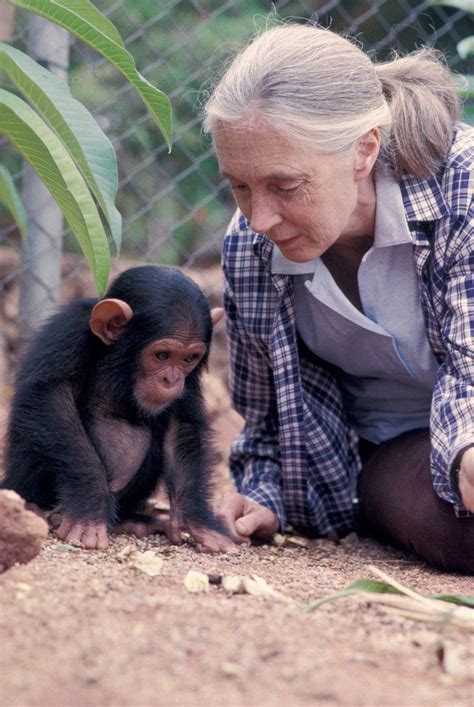 A Life Devoted to Primates and Conservation