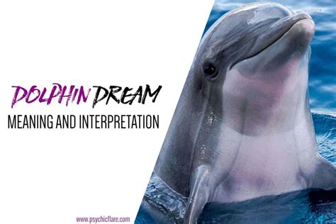 A Magical Connection: Turning the Dream of Dolphin Ownership into Reality