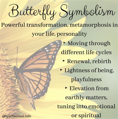 A Message from the Universe: The Symbolic Meaning of Receiving a Butterfly in Your Dream