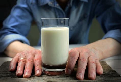 A Message of Purity and Nourishment: Delving into the Symbolism of a Snowy Feline Indulging in Milk