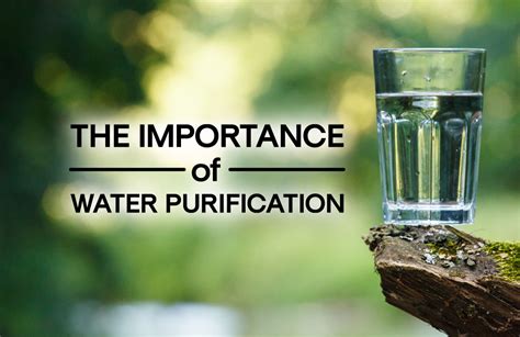 A Metaphor for Life: Reflecting on the Purifying Essence of Water