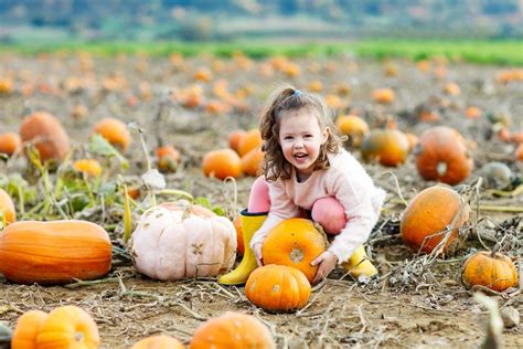 A Perfect Autumn Activity: Picking Pumpkins