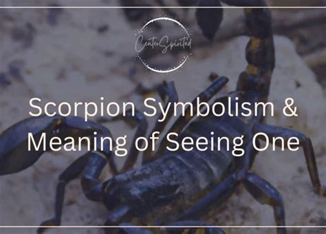 A Potent Reminder: Deciphering the Symbolic Caution Depicted by the Diminutive Scorpion in One's Dreams