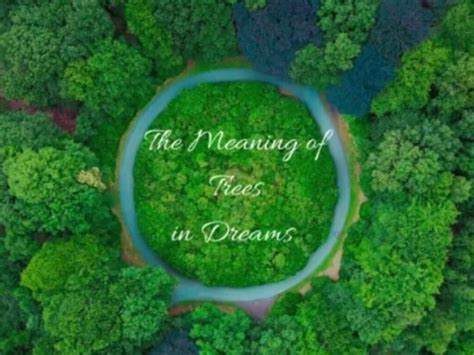 A Practical Guide: Interpreting and Utilizing the Meaning Significance of Trees in Dream Analysis