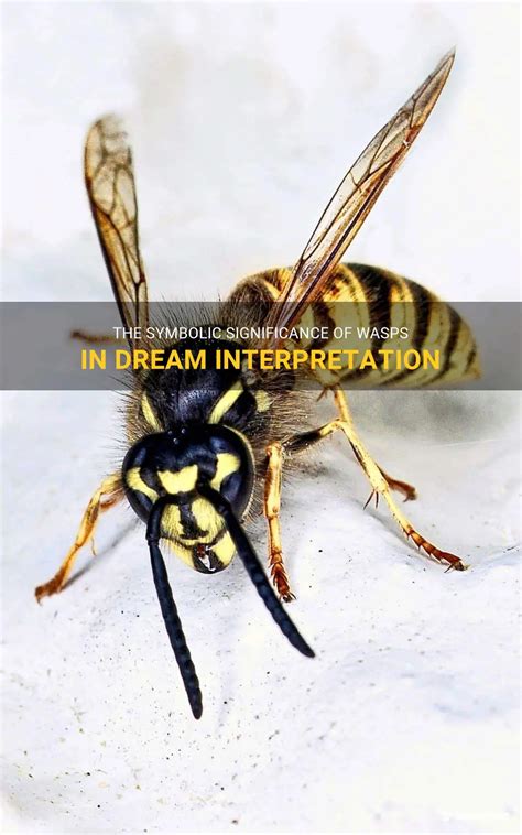 A Psychological Analysis of Dreams Involving Wasp Stings