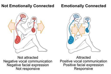 A Reflection of Emotional Connection