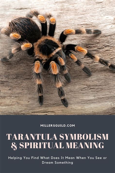 A Reflection of Empowerment: Analyzing the Symbolism in Tarantula Totems