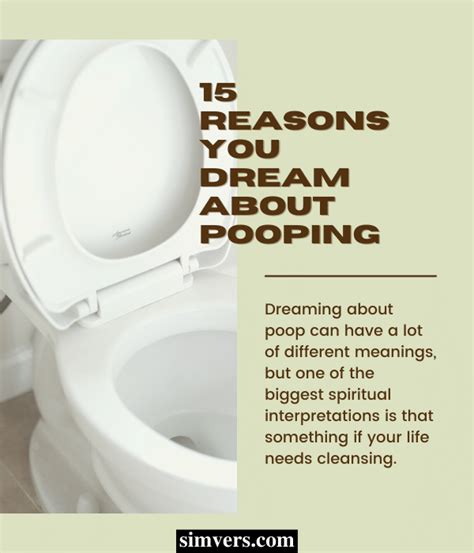 A Reflective Look at Your Health: Exploring the Possible Physical Associations of Poop Dreams