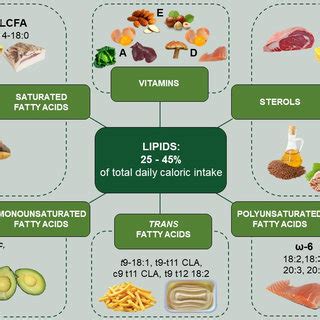 A Remarkable Source of Nourishing Lipids