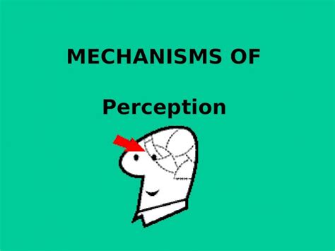 A Sensory Experience: How Dense Mist Affects Vision, Auditory Perception, and Olfactory Sensations