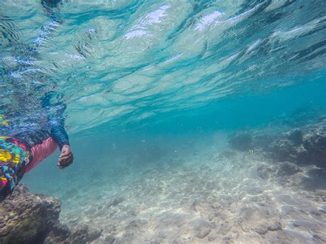 A Soaking Experience: Deciphering Dreams about Being Immersed in Water and Sponges