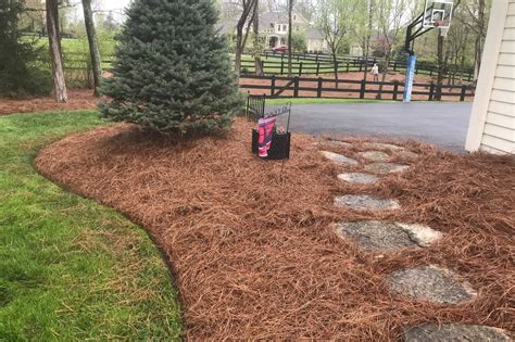 A Solution for Sustainable Landscaping: Pine Straw as an Environmentally-friendly Choice