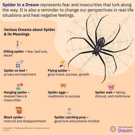 A Spider on Your Palm: Connotations and Explication