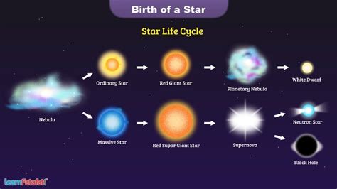 A Star is Born: Early Life and Childhood