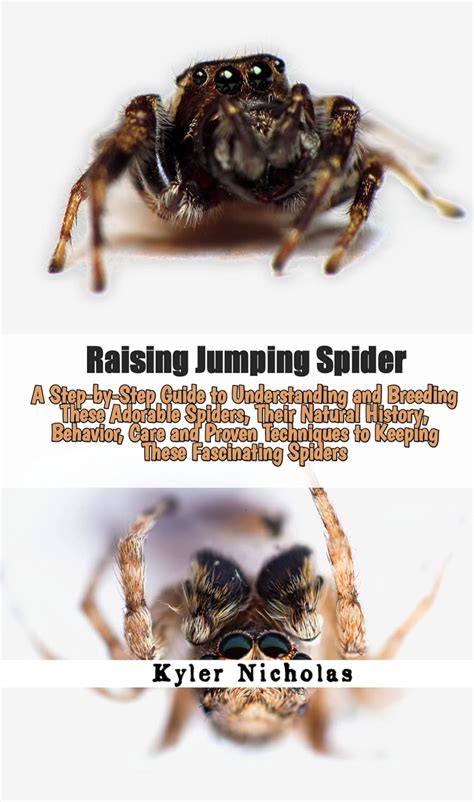 A Step-by-Step Guide to Analyzing and Understanding Spider Dreams