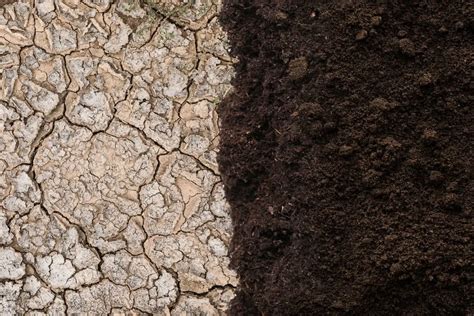 A Sustainable Method for Enhancing Soil Fertility