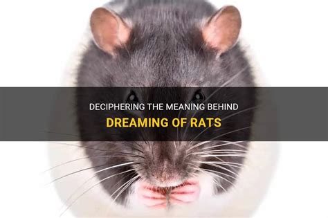 A Symbol of Unwanted Presence: Deciphering the Symbolism behind Rats and Mice in Dreams