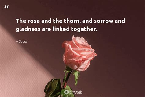 A Symbolic Interpretation: Understanding the Significance of Roses and Thorns in Life