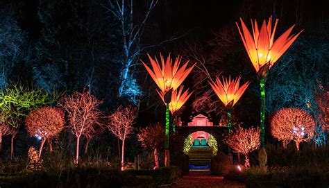 A Symphony of Colors: The Illuminated Gardens