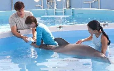 A Tale of Compassion and Perseverance: A Dolphin's Journey to Freedom