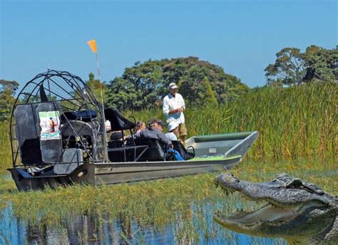 A Thrilling Adventure: An Unforgettable Encounter with the Magnificent Alligators