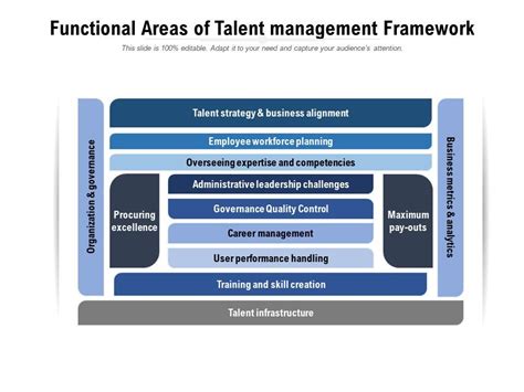 A Versatile Talent: Dominique Pestana's Areas of Expertise