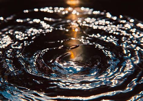 A Wave of Generosity: The Ripple Effect of the Serendipitous Meeting