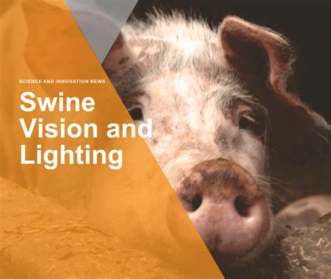 A Window into the Depths: Exploring the Enigmatic Vision of a Feral Swine