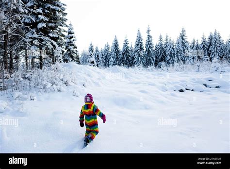 A Winter Wonderland: Exploring the Enchanting World of Snow