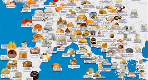 A World Tour of Exquisite and Fragrant Cheese Varieties