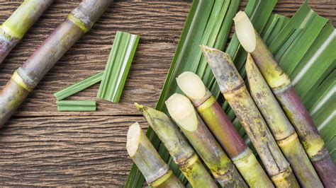 A World of Flavor: The Culinary Uses of Sugarcane