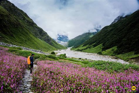 A paradise on earth: Introducing the valley of flowers